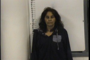 GOGGIN, TINA - MFG, DEL., SELL OF CONTROLLED SUBSTANCE x2, POSSESSION OF DRUG PARAPHERNALIA