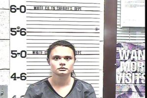ALLMON, LINDSEY - DRIVING ON REVOKED OR SUSPENDED LICENSE