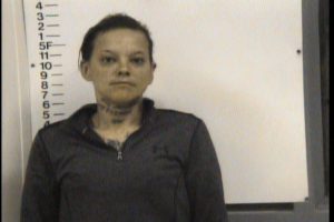 JOHNSON, VIRGINIA - VIOLATION OF PROBATION CRIMINAL