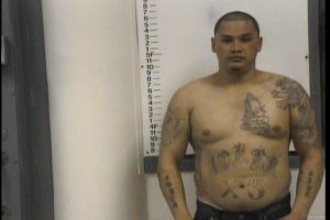 NICOLAU, MICHAEL - PUBLIC INTOXICATION