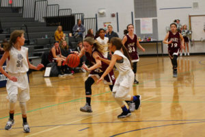 PSMS Girls vs WCMS 11-15-18-15