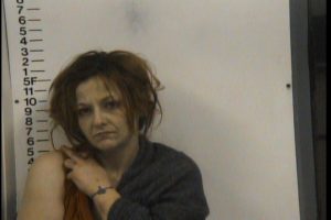 GARRISON, TAMARA NICOLE- RESISTING; TAMPERING WITH EVIDENCE; ASSAULT; GS VOP X2