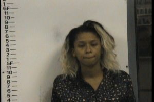 JOHNSON, KELLIE ANQUENETTE- THEFT OVER 10,000 DOLLARS