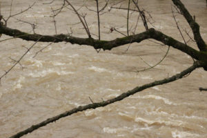 Flooding Pics 2-23-19 by david-13