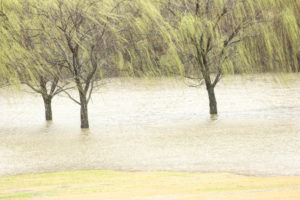 Flooding Pics 2-23-19 by david-14