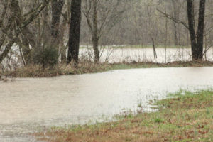 Flooding Pics 2-23-19 by david-18