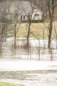Flooding Pics 2-23-19 by david-30