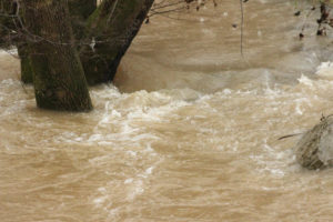 Flooding Pics 2-23-19 by david