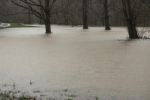 Flooding Pics 2-23-19 by david-32