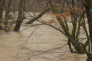 Flooding Pics 2-23-19 by david-4