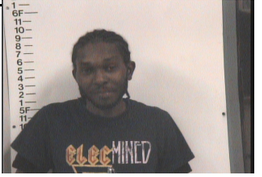 THOMAS, ANDRE ADREL - RECKLESS ENDANGERMENT; TAMPERING WITH EVIDENCE; SIMPLE POSS:CASUAL EXCHANGE; EVADING ARREST