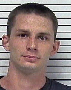 TOMLINSON, BRANDON LOWE- MFG:DEL:SELL CONTROLLED SUBSTANCE;THEFT OF PROPERTY