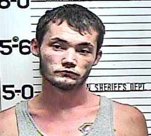 LAFEVER, STEVE MICHAEL- THEFT OVER $1000; THEFT OF PROPRTY; FORGERY; EVADING ARREST; VOP