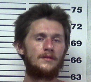 MARION, HUNTER ALEXZANDER- DRIVING ON SUSPENDED ; THEFT OF PROPERTY
