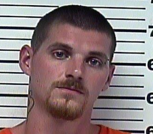 HALL, JUSTIN BRENT- RECKLESS ENDANGERMENT; DRIVING ON REVOKED