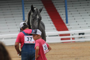 Highlights of horse show 7-13-19 by Aspen-14