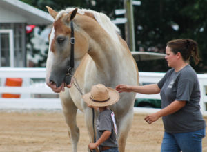 Highlights of horse show 7-13-19 by Aspen-24