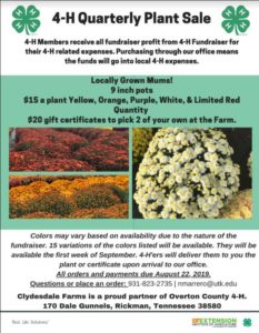 oc news 7-19-19 11
