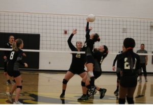 ums volleyball 8-14-19 24