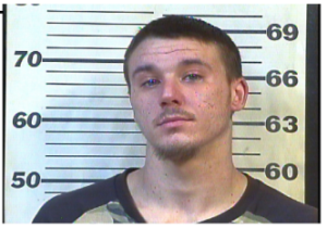 GOCHEE, ZACHARY TATE - THEFT OF SERVICES
