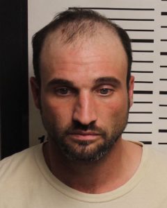 SCANTLAND, DANIEL LEE - THEFT OF PROPERTY X2; MFG:DEL:SALE:POSS METH; THEFT OF MOTOR VEHICLE; POSS FIREARM DURING COMMISSION