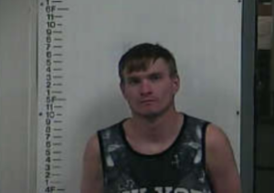 AUTREY, VINCE MICHAEL - POSS PROHIBITED WEAPON; POSS CONTROLLED SUBSTANCE