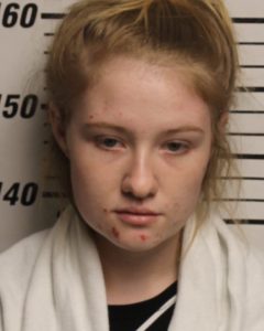 BRYANT, BRITTANY LE - EVADING ARREST; THEFT OF PROPERTY OVER 2500 OF A MOTOR VEH.; DRIVING W:O LICENSE; CC VOP RULES #1,6,8