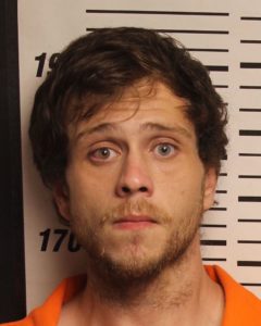 DILLON, ZACHARY - POSS DRUG PARA USES AND ACTIVITIES; MFG:DEL:SEL:POSS METH; THEFT OF PROPERTY