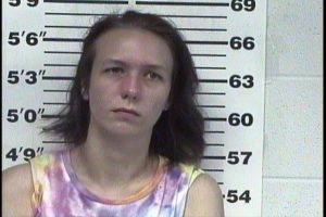 WRIGHT, CHELSEA LEANN - CRIMINAL IMPERSONATION; POSS DRUG PARA W:INT TO USE