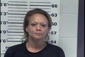 HINMAN, PATTY NICOLE - POSS WEAPON TO GO ARMED; FEL POSS DRUG PARA;MFG:DEL:SELL CONT SUB; POSS CONT SUBSTANCES X2; POSS FIREARM DURING COMM FELONY