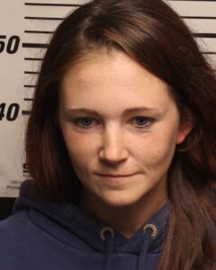 PHILLIPS, TIFFANY MARIE - THEFT OF PROPERTY OVER 1000