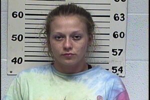 WILKERSON, ALEXIS ARIELLE - CC VOP X2; RESISTING ARREST; TAMPERING W:FABRICATING EVIDENCE; POSS METH