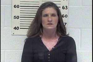 SEARCY, DOROTHY LOUISE - THEFT OF SERVICES; CRIMINAL SIMULATION