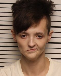 Ashley Phillips - Failure to Appear or Pay - Criminal Court Indictment