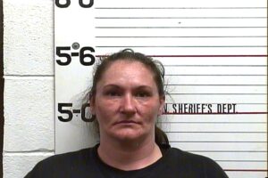 TEMPLETON, AUTUMN FAWN - SERVING ON PREVIOUS CHARGE; VOP DUI 1ST