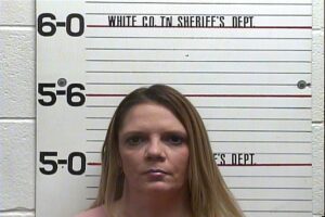 Cynthia Teeples - Violation of Probation