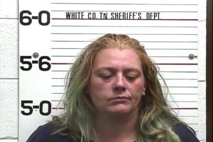 Lisa Beals - Violation of Probation