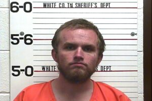 Tyler Hutson - Violation of Probation