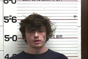Austin Pinegar - Unlawful Carry:Poss of Weapon, Aggravated Assault