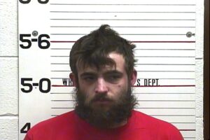 Justin Eller - Evading Arrest, Violation of Probation