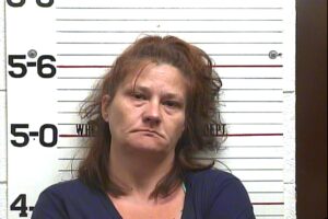 Misty Reynolds - Violation of Probation