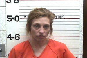 Shania Hammock - Evading Arrest, Man:Del:Sale Meth, Tampering With or Fabricating Evidence