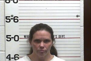 Amy Ford - Hold for Another County