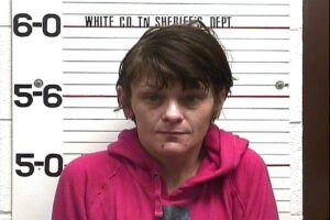 Kellie Smith - Violation of Probation