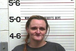 Micki Gentry - Driving on Revoked:Suspended