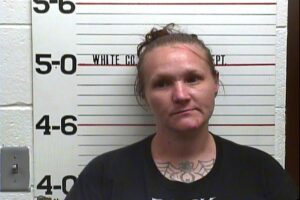 Ashley McBride - Violation of Probation