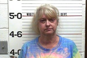 Diana Sawyer - Domestic Assault, Violation of Probation