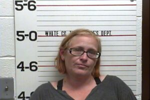 Emily Allen - Violation of Probation