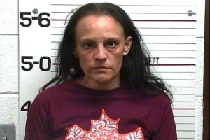 Melanie Anderson - Hold for Another County