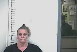 Randa Boles – Manufacture-Deliver-Sell Controlled Substance – Manufacture Meth